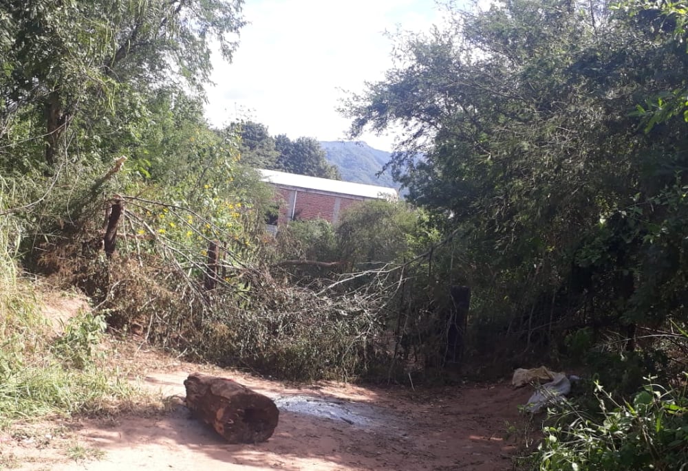 Vecinos cerraron con ramas y alambres pasos no habilitados 