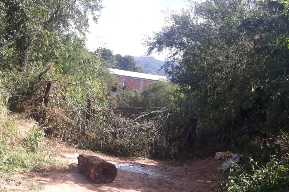 Vecinos cerraron con ramas y alambres pasos no habilitados