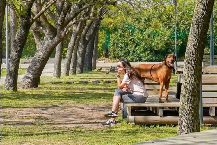 Las 10 mejores ciudades del Conurbano bonaerense para vivir, según la UBA
