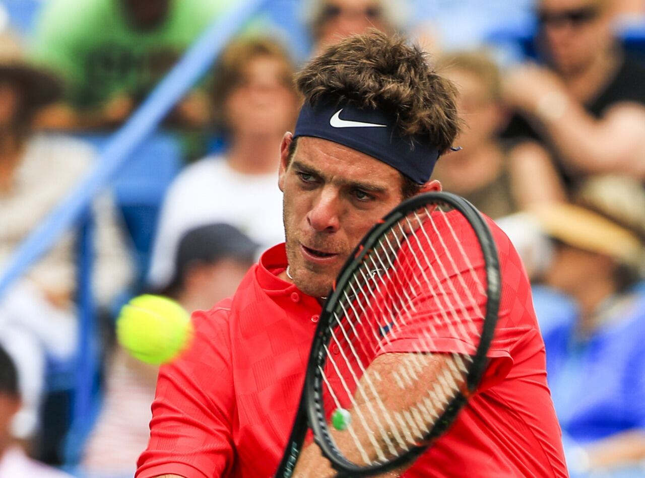 Juan Martín del Potro no juega desde junio de 2019