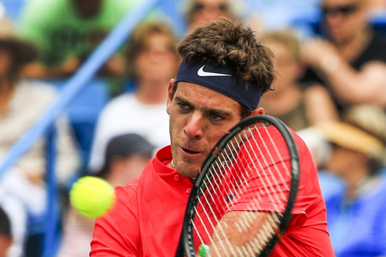 Juan Martín del Potro no juega desde junio de 2019