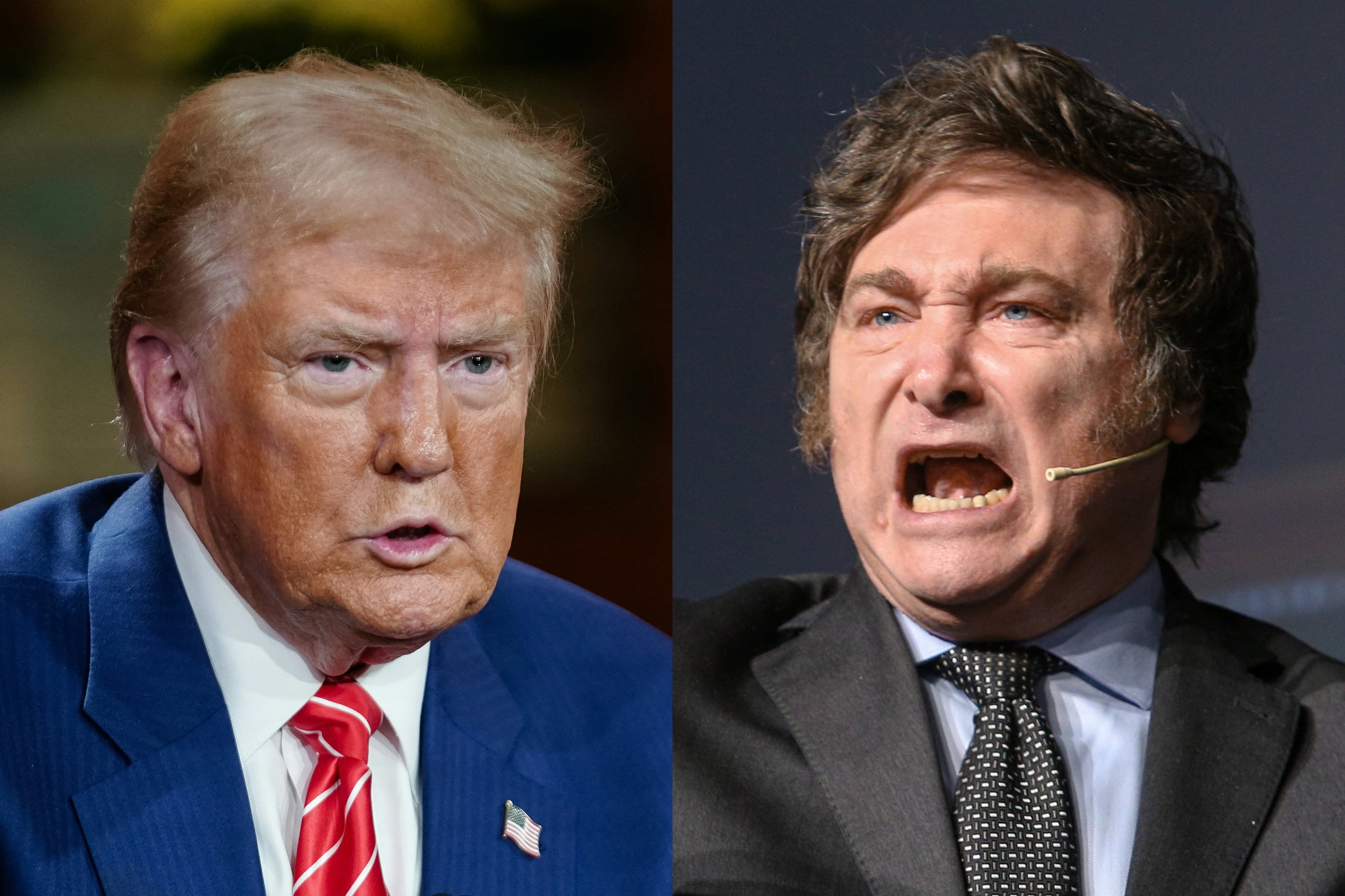 El presidente norteamericano, Donald Trump, y su par de Argentina, Javier Milei.