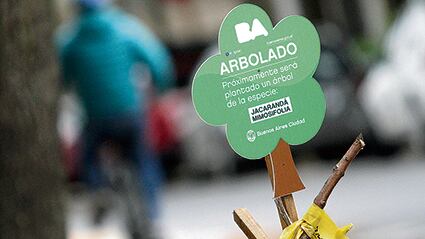 A falta de árboles, bien vale un indicador de plástico.