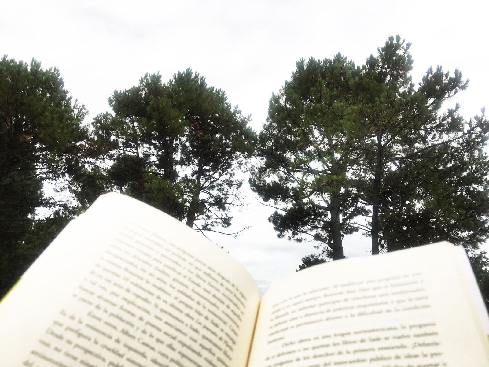 Verano no sólo es sinónimo de vacaciones: las ofertas de cursos y talleres suman muchas opciones en esta época.