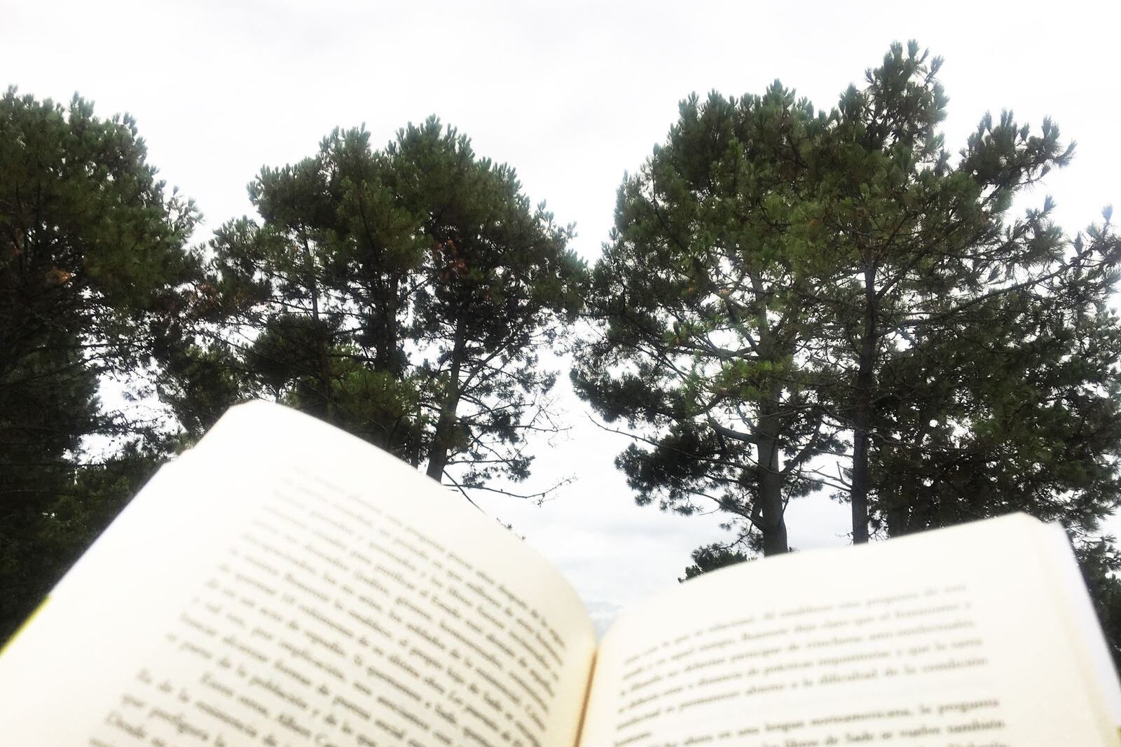 Verano no sólo es sinónimo de vacaciones: las ofertas de cursos y talleres suman muchas opciones en esta época.