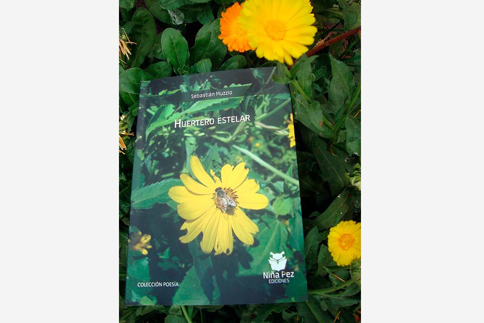 El libro de Muzzio.