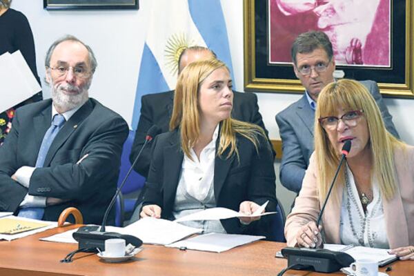 La diputada Aída Ayala (Cambiemos) es investigada por lavado de dinero y asociación ilícita.