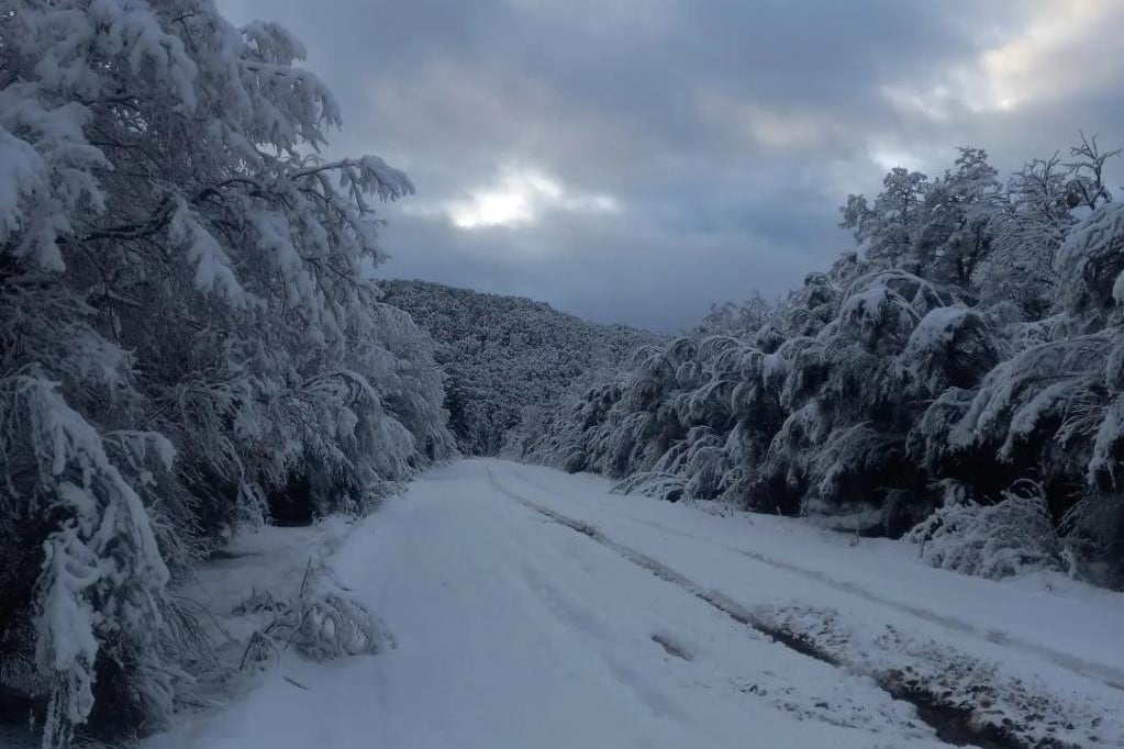 Desde el Parque Nacional Nahuel Huapi advirtieron la necesidad de circular con extrema precaución (@PnnhInforma).