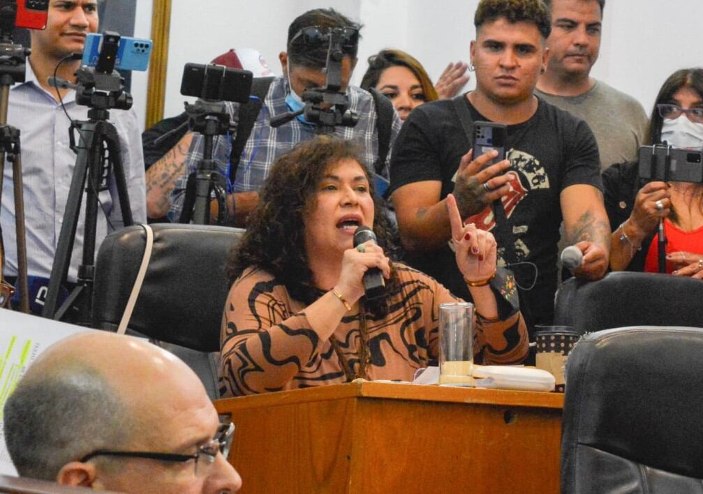 Concejala Viviana Diaz.