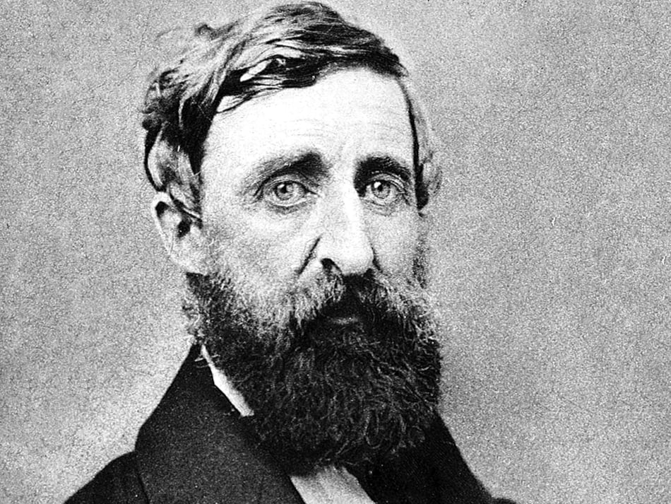 “Nada se opone tanto a la poesía como los negocios”, decía Thoreau.