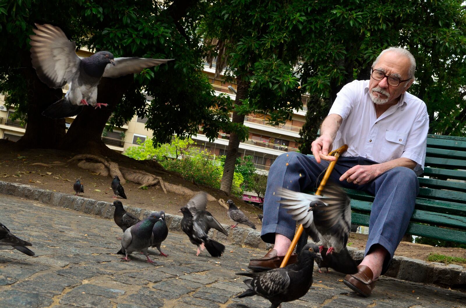 Se necesitan 30 años de aportes previsionales para jubilarse. Esta exigencia legal excluye a millones por el elevado grado de informalidad laboral.
