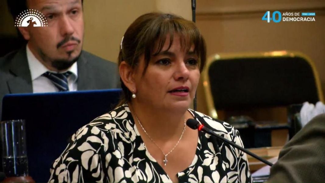 Soledad Farfán será la nueva presidenta de la UCR en Salta.