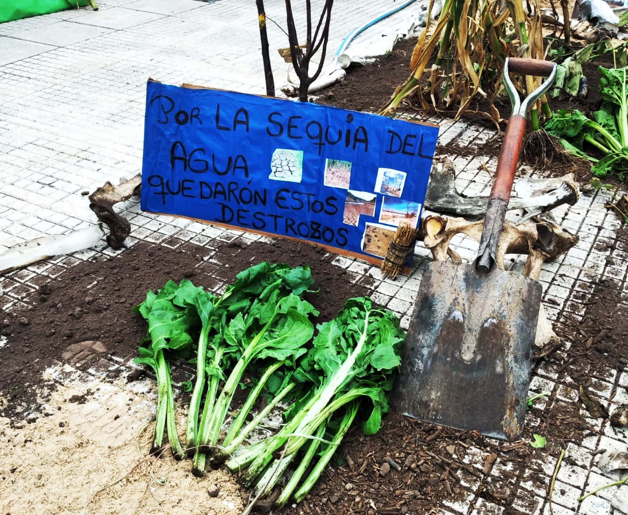 Protesta de la Mesa Agroalimentaria en Plaza de Mayo el 29 de marzo pasado.