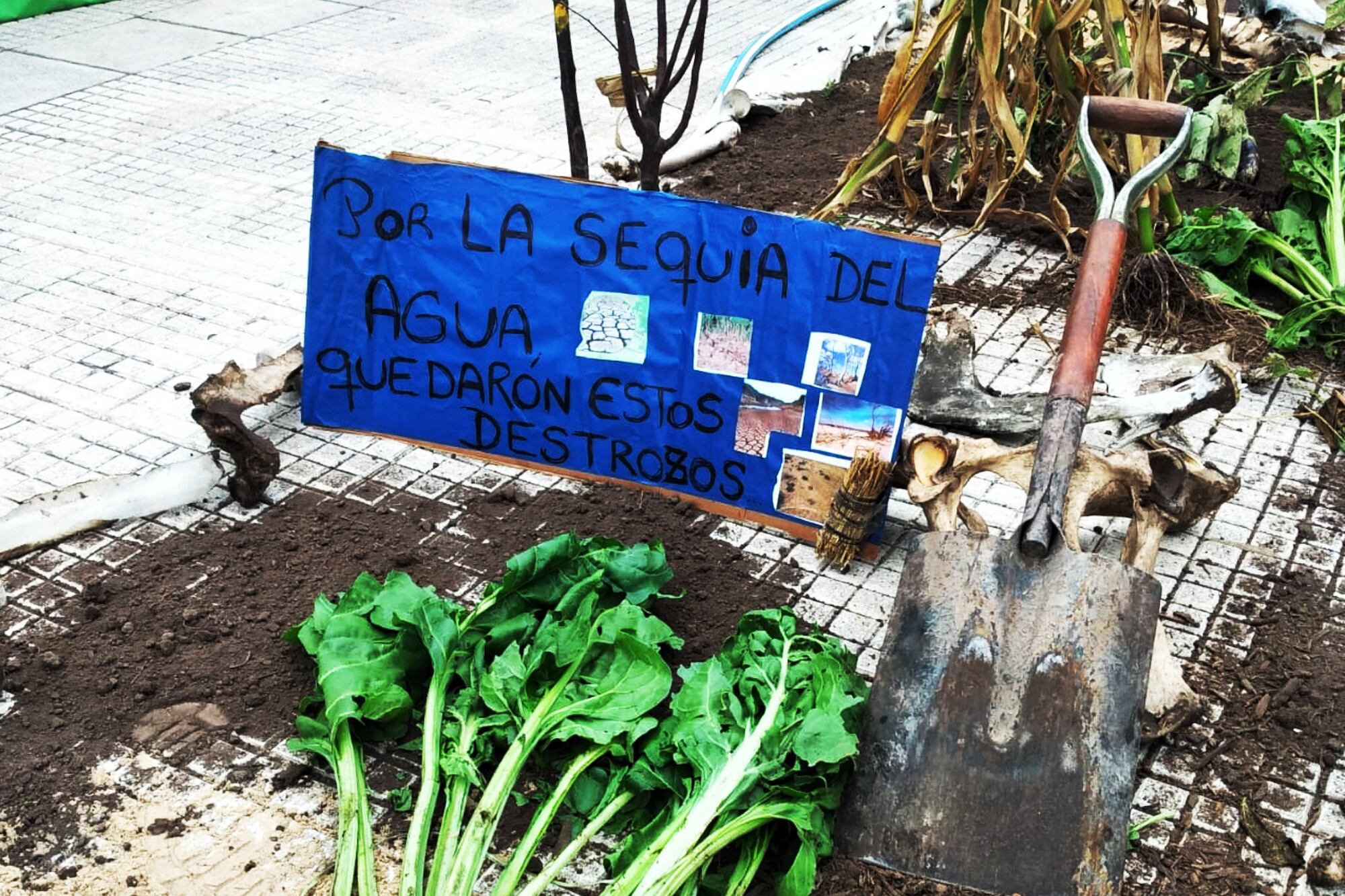 Protesta de la Mesa Agroalimentaria en Plaza de Mayo el 29 de marzo pasado.