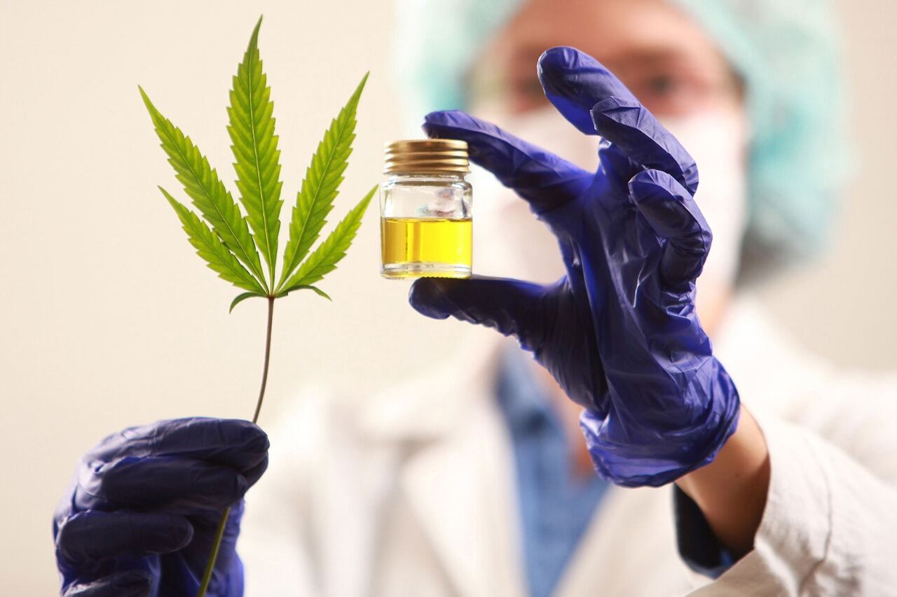 El principal obstáculo para la industria cannábica hoy es el legal.