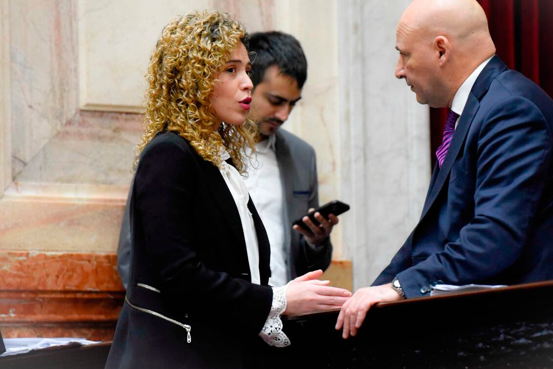 En el recinto de la Cámara de Diputados, la libertaria Lourdes Arrieta.