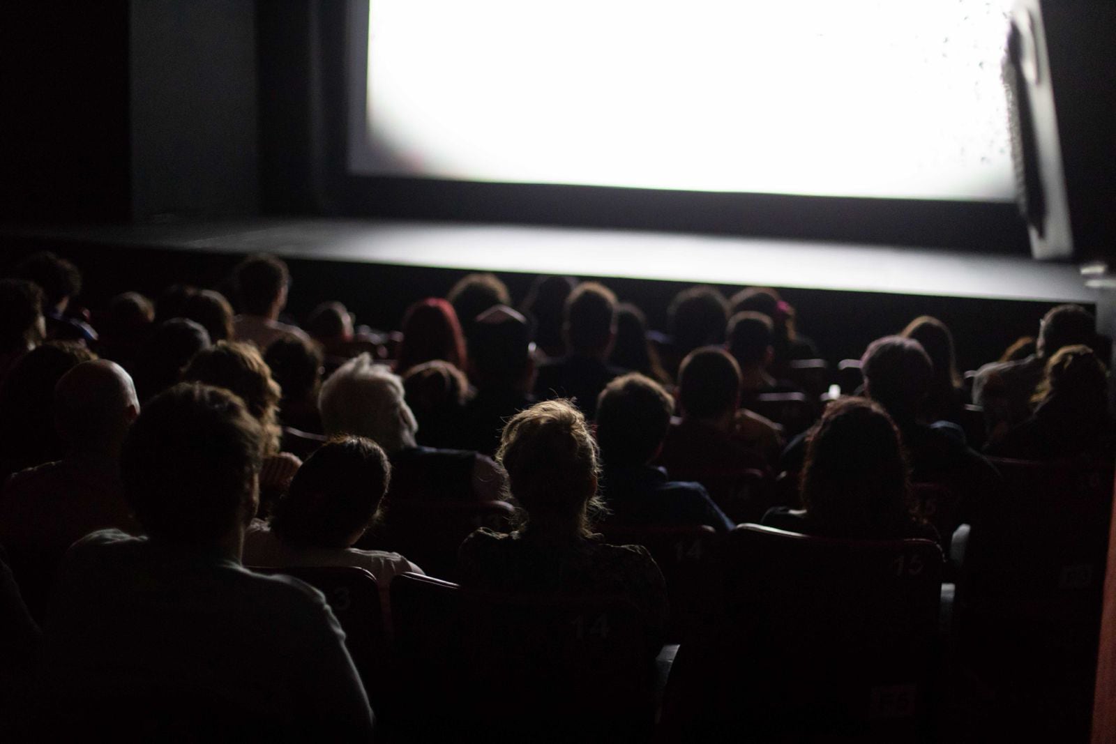 Películas chicas, medianas y de gran escala pueblan la programación. 