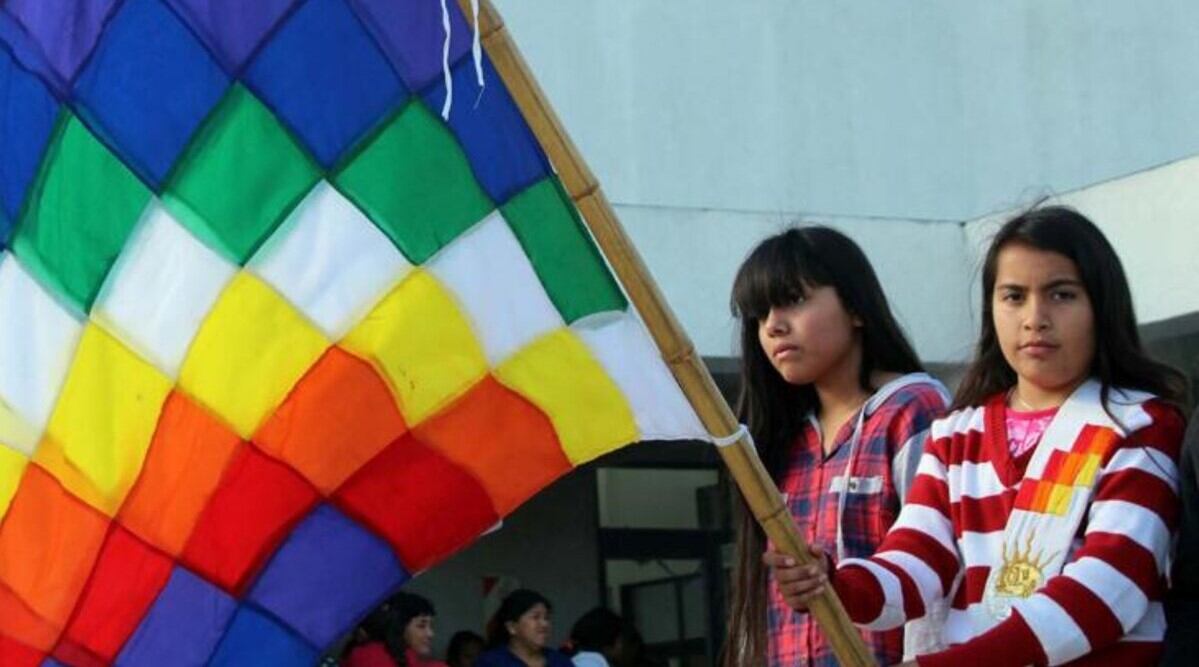 Lideresas reclaman que Diputados trate el miércoles la Emergencia Territorial Indígena.