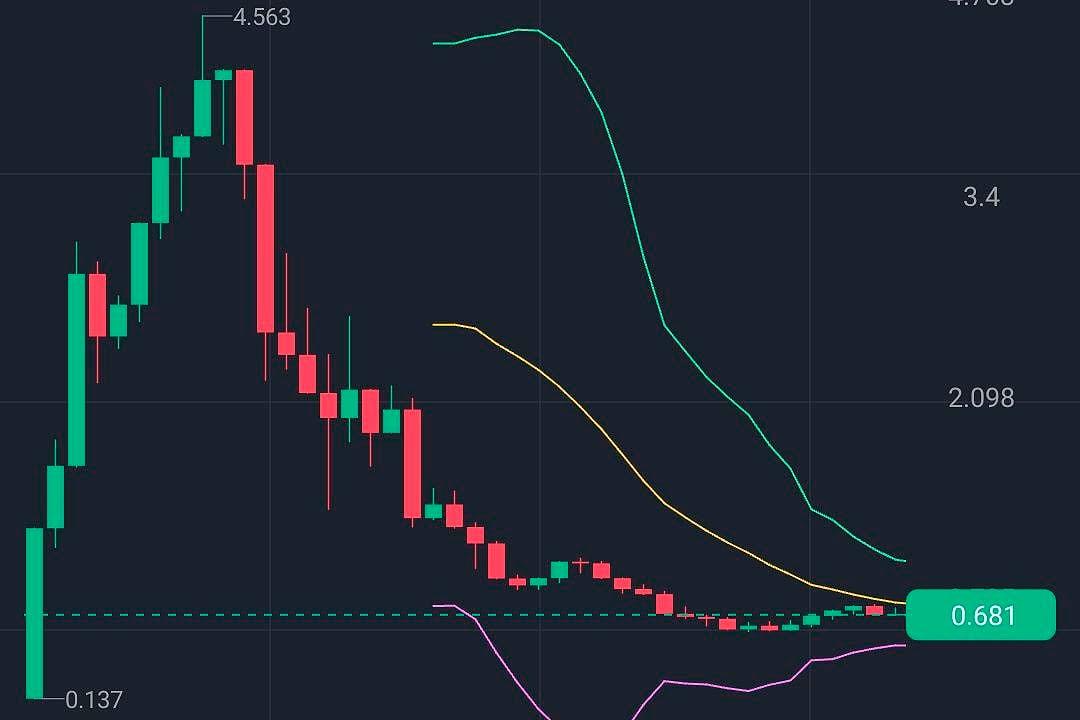 El precio de la criptomoneda anotó una suba fuerte por unos minutos y luego se desplomó.