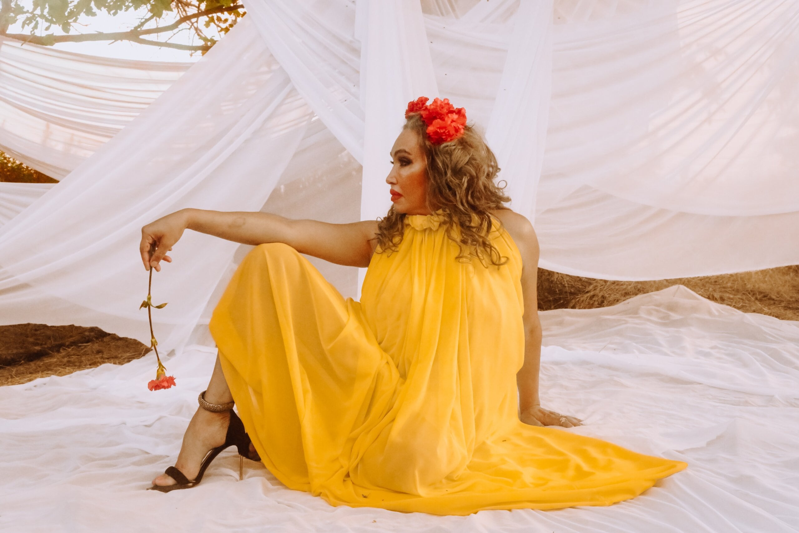 Gentili cofundó la organización DecrimNY que logró despenalizar el trabajo sexual y derogar una ley que penalizaba el vagabundeo con fines de prostitución