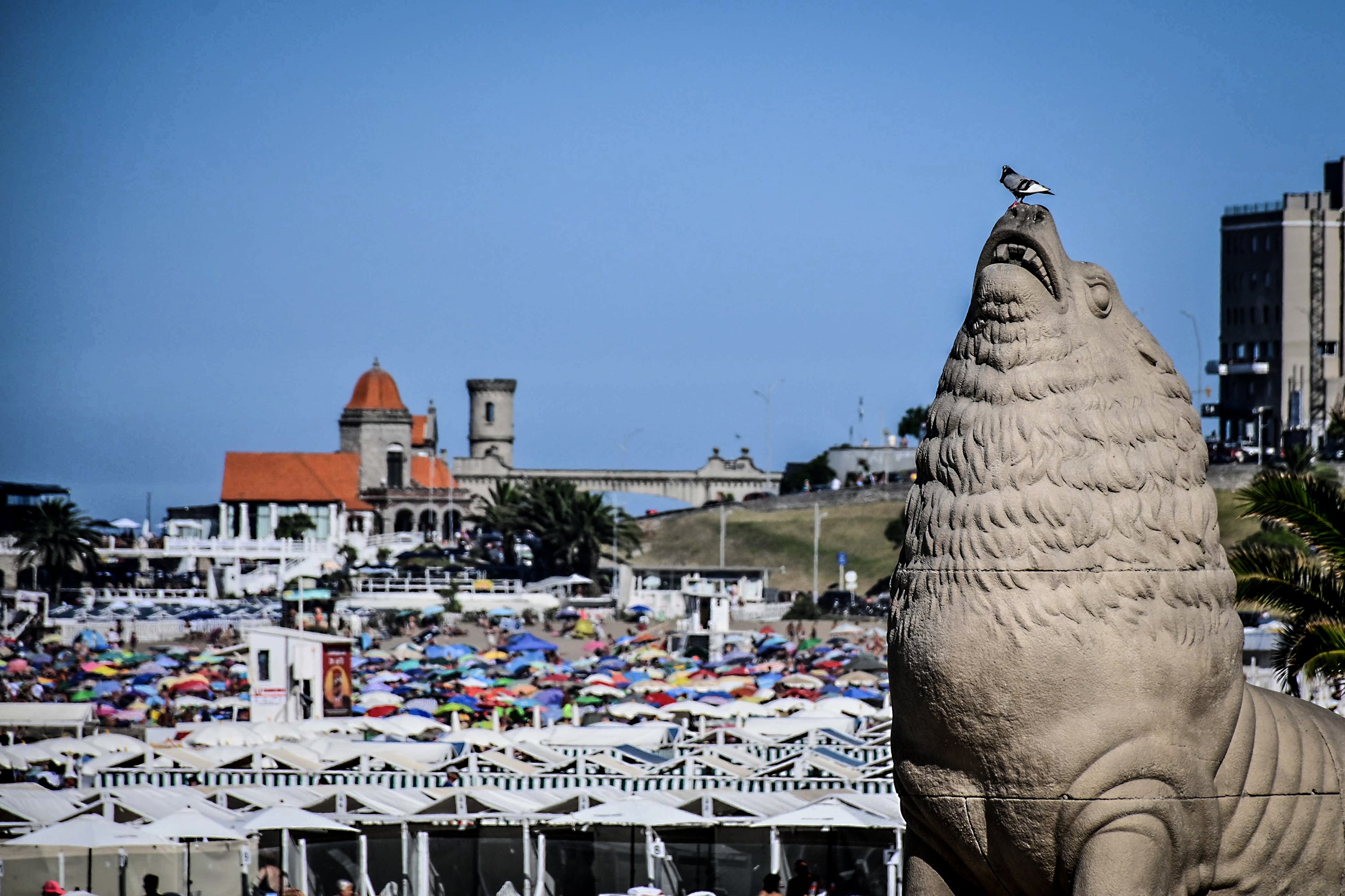 Mar del Plata estatua Lobo Marino -10/01/2025