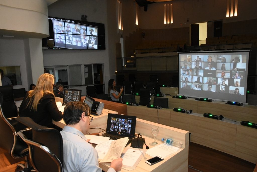 La sesión virtual de ayer, donde Rueda hizo públicas las denuncias de violencia institucional. 