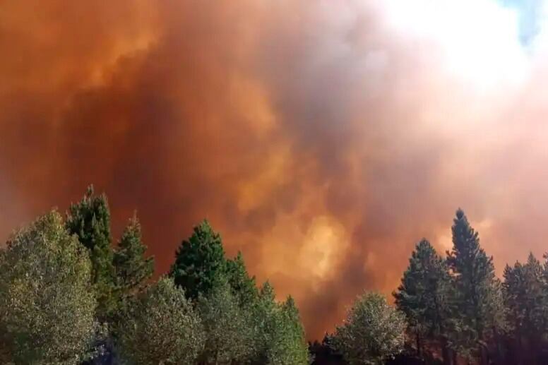 El gobierno provincial está trabajando con las seis comunidades mapuche de la zona de Aluminé.
