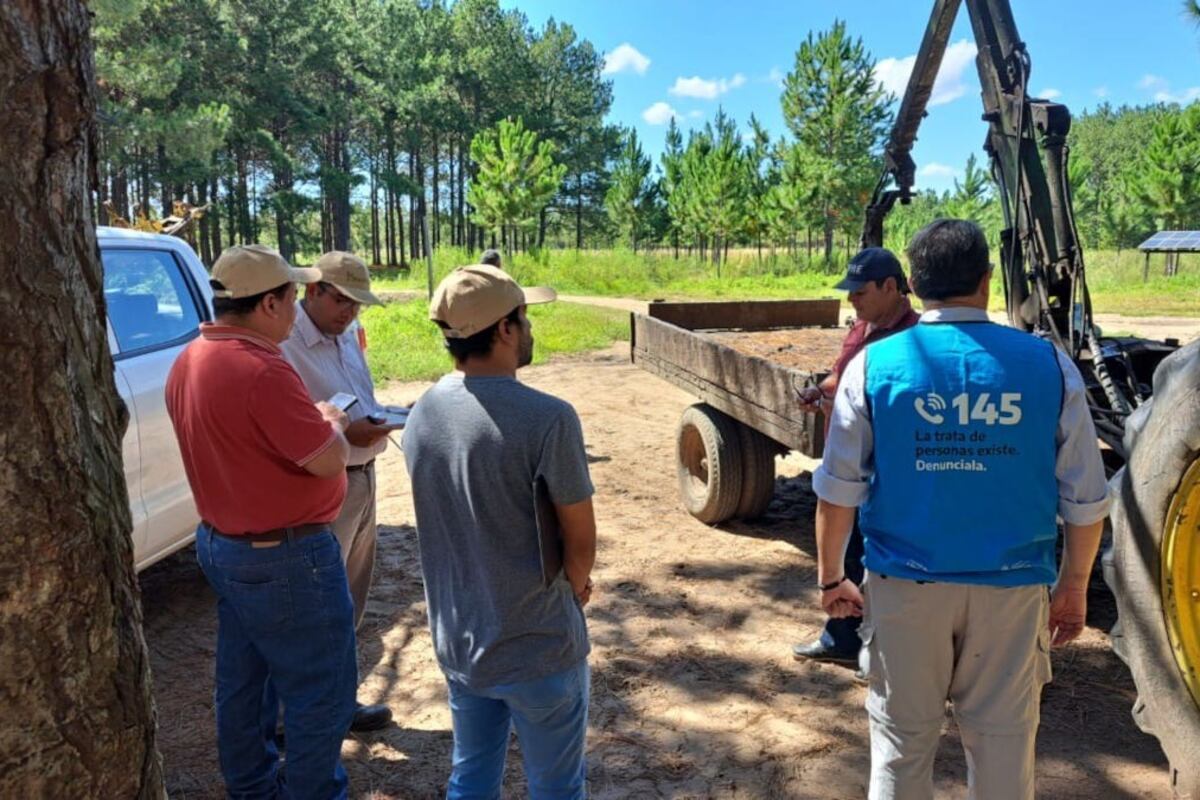 1.552 fueron rescatadas durante 2023