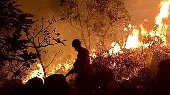 Bolsonaro llamó a 44,000 soldados para que hagan de bomberos.