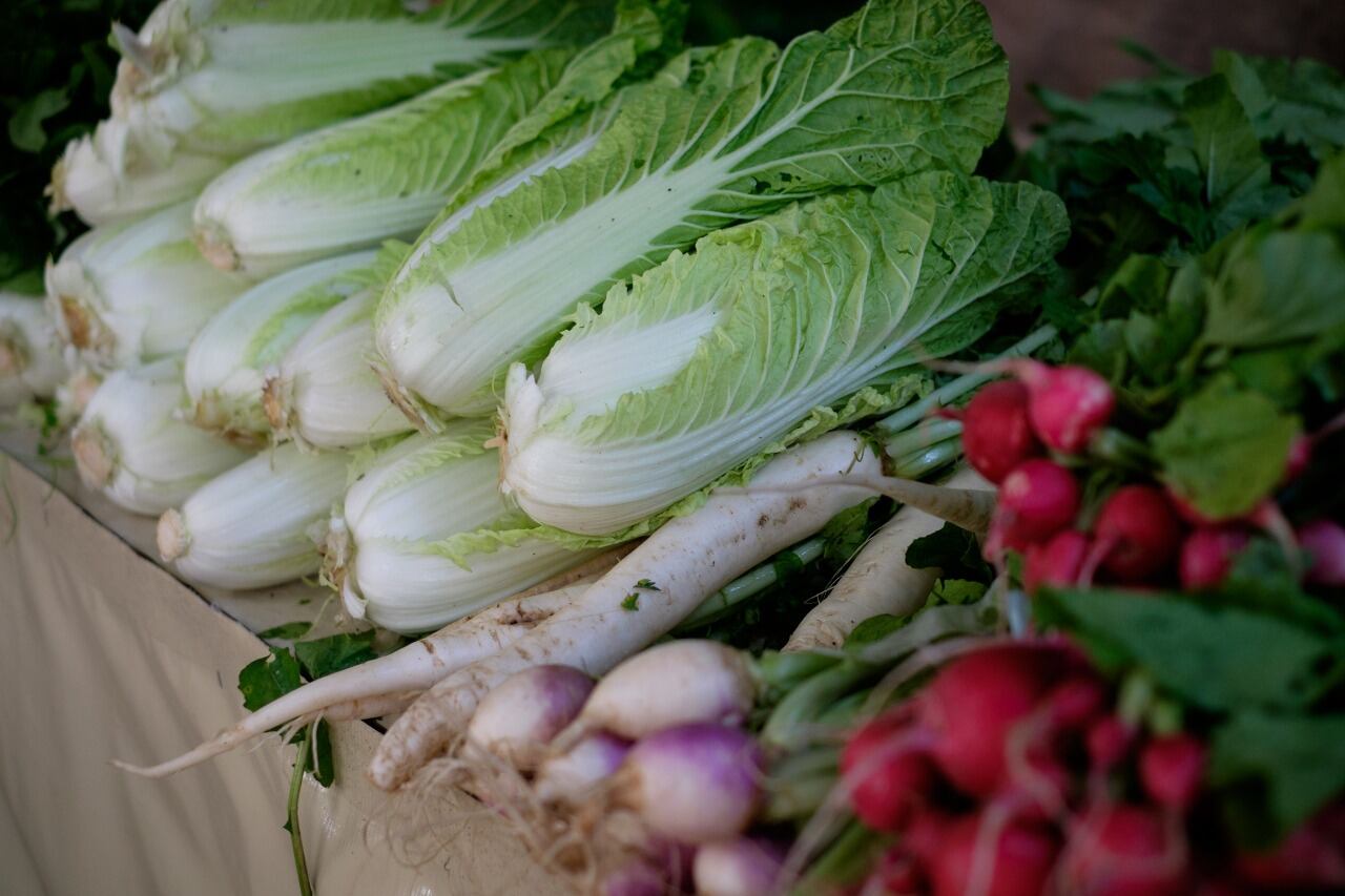 La mayor presión en los precios se sintió en la primera quincena del mes