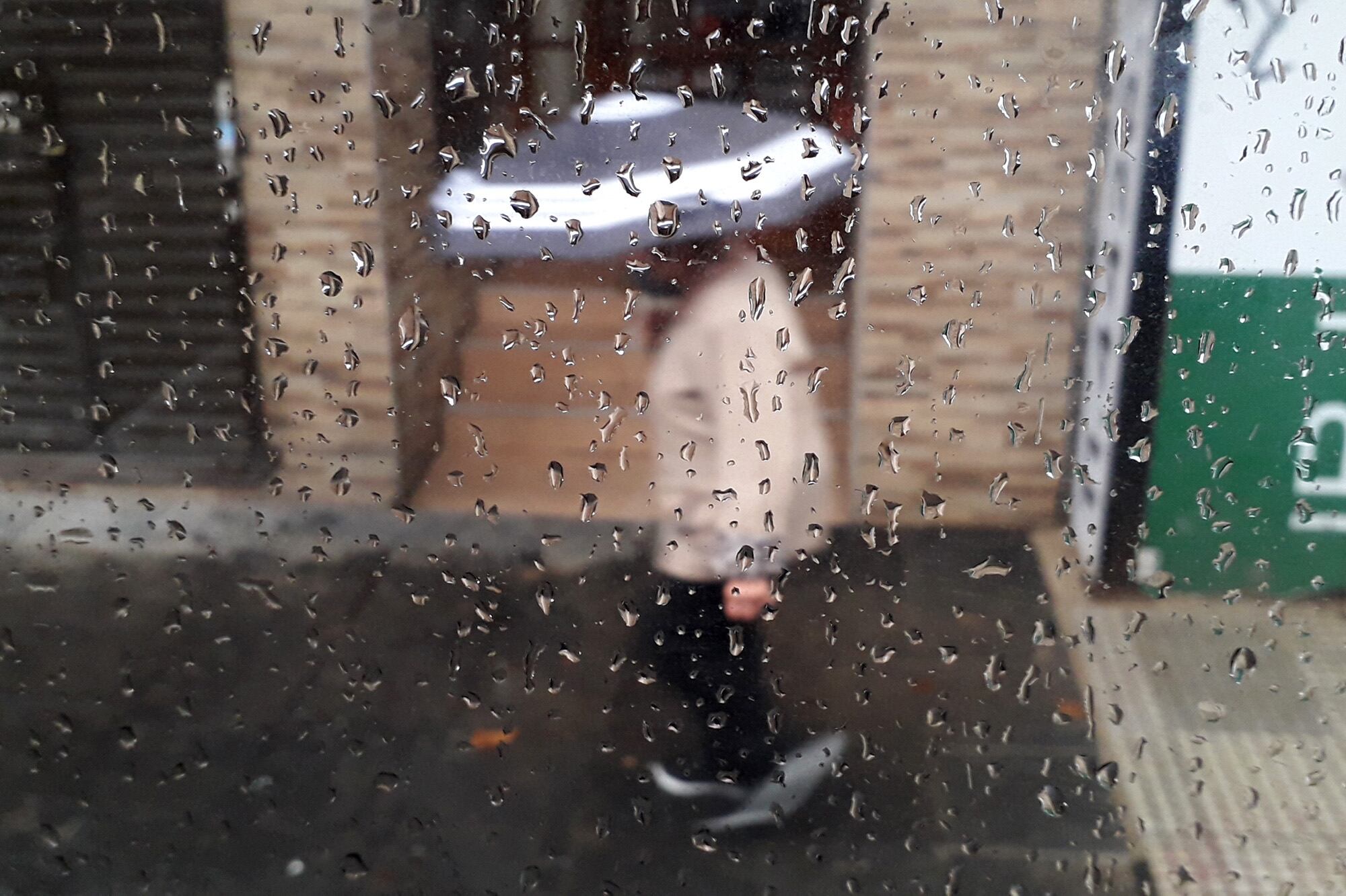 Abrigo y paraguas para un día fresco y muy nublado.