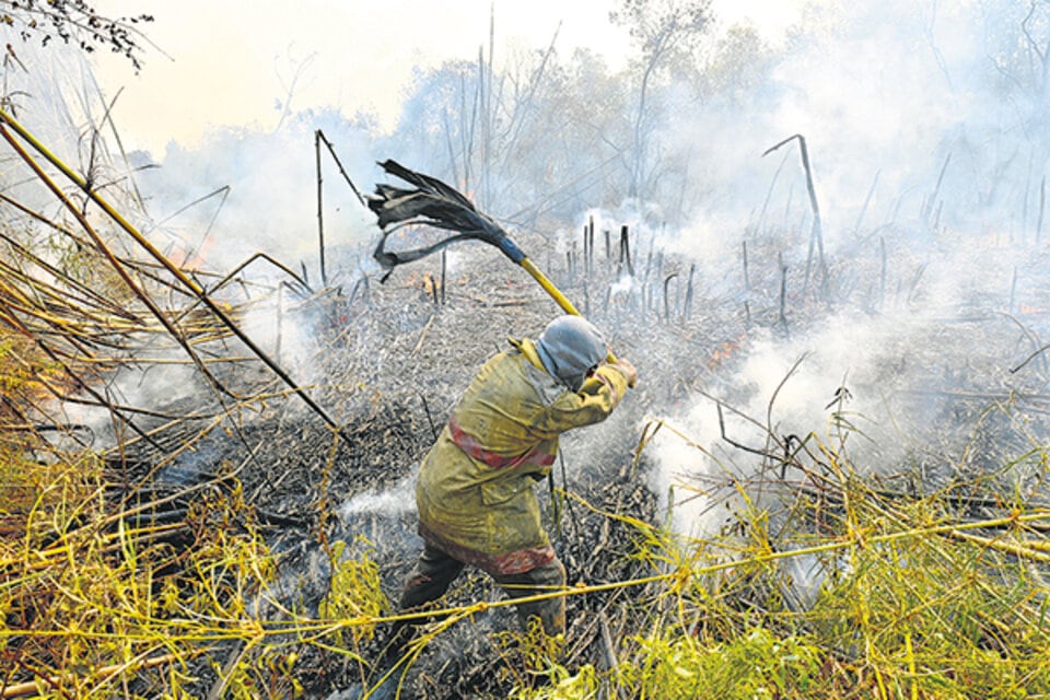 Los incendios forestales ilegales en las islas del delta de Paraná y el reclamo de las organizaciones aceleró el debate en la Cámara de Diputados.