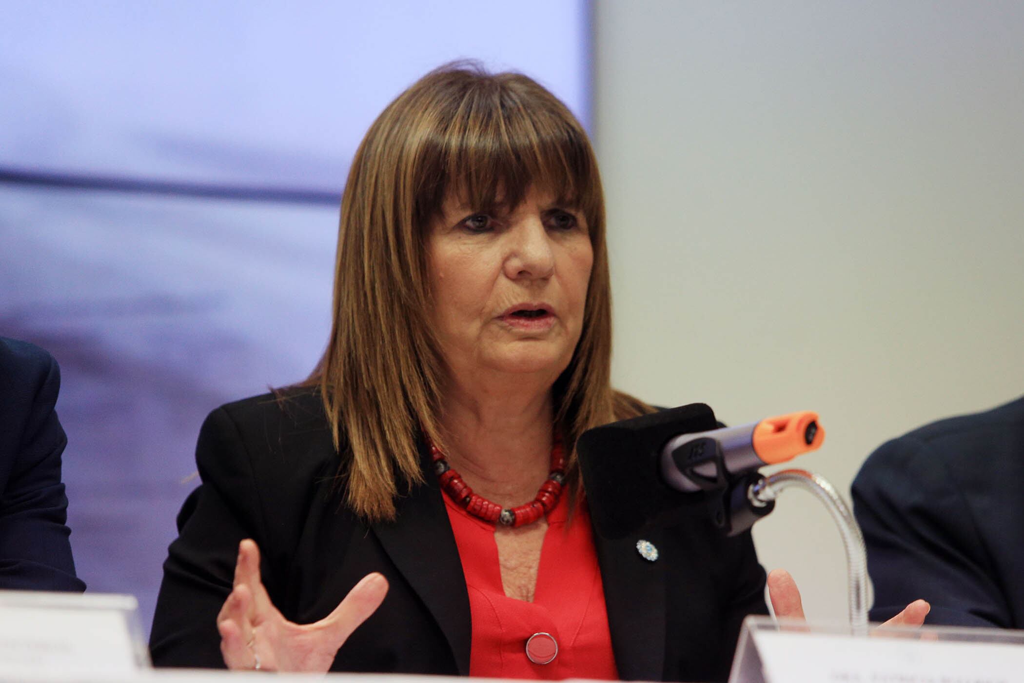 Tiene una emocionalidad importante”: Patricia Bullrich describió el  carácter de Javier Milei – Página|12