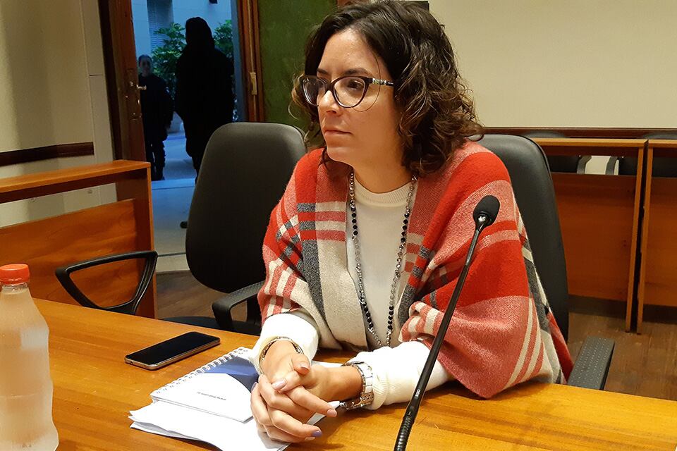 La fiscal Celeste Minniti recepcionó la denuncia.
