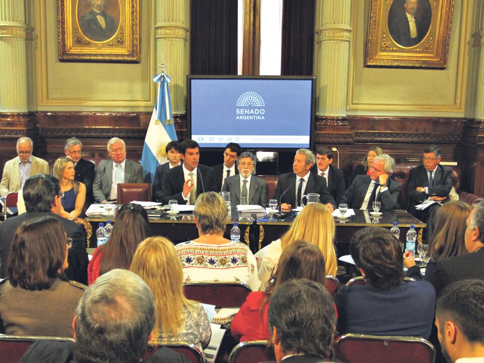 El titular de la AFIP calculó un costo fiscal bruto de 132 mil millones de pesos del proyecto opositor.