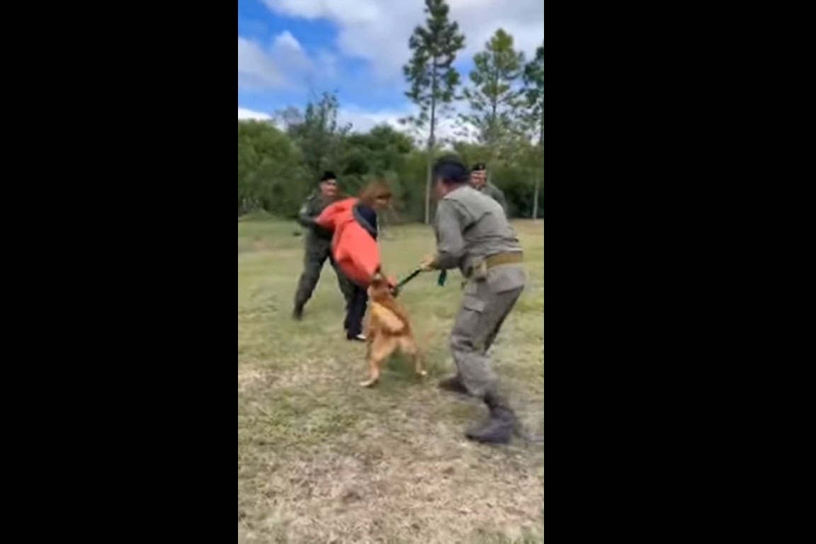 El momento en el que tuvieron que auxiliar a la ministra de Seguridad. 