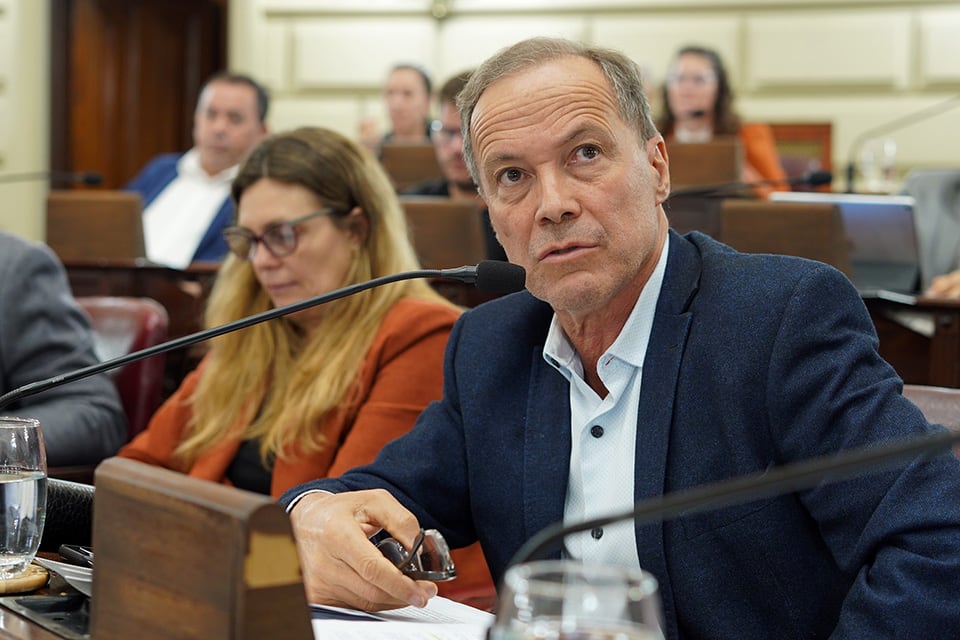 El diputado de Igualdad, Rubén Giustiniani celebró la resolución.