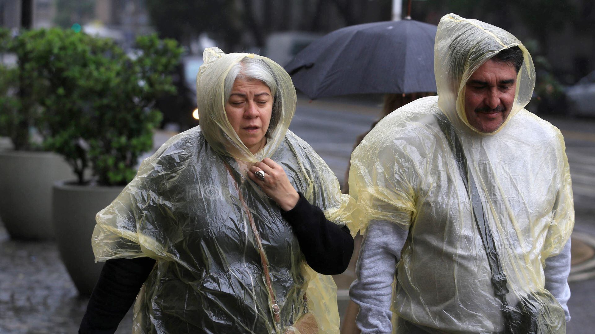 Alerta amarilla por la tormenta de Santa Rosa