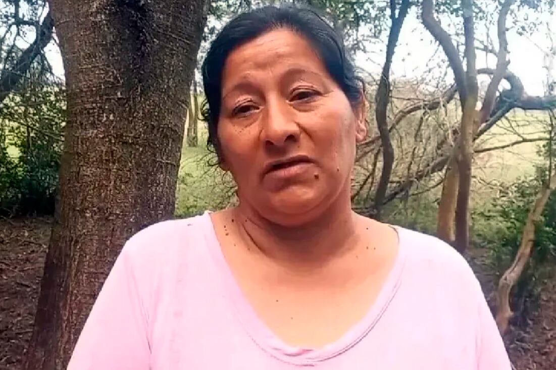 Cierta o no, la declaración de la tía de Loan, Laudelina Peña, cambió el rumbo de la causa.
