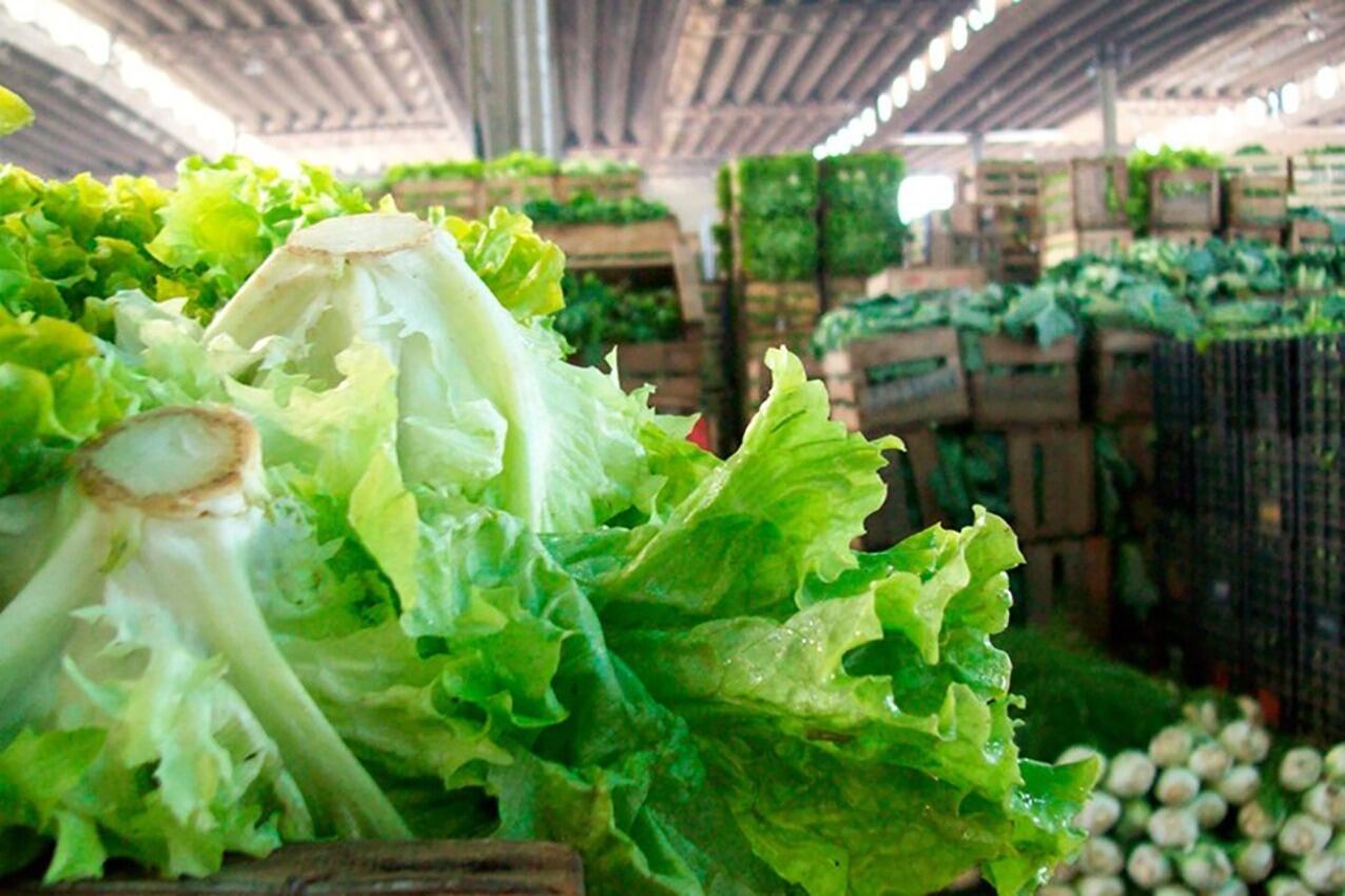 El kilo de lechuga se ofrece a entre 7 mil y 8 mil pesos.