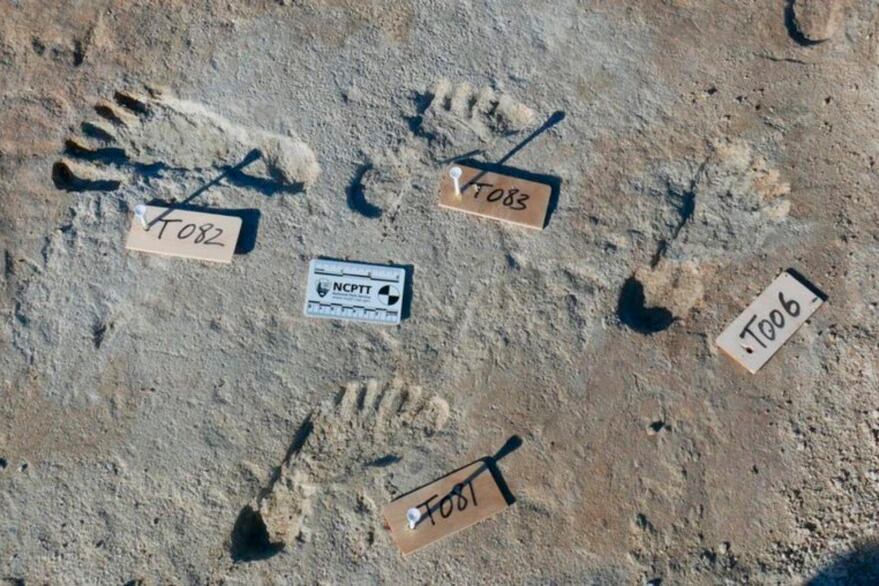 Las pisadas encontradas en Nuevo México. 
