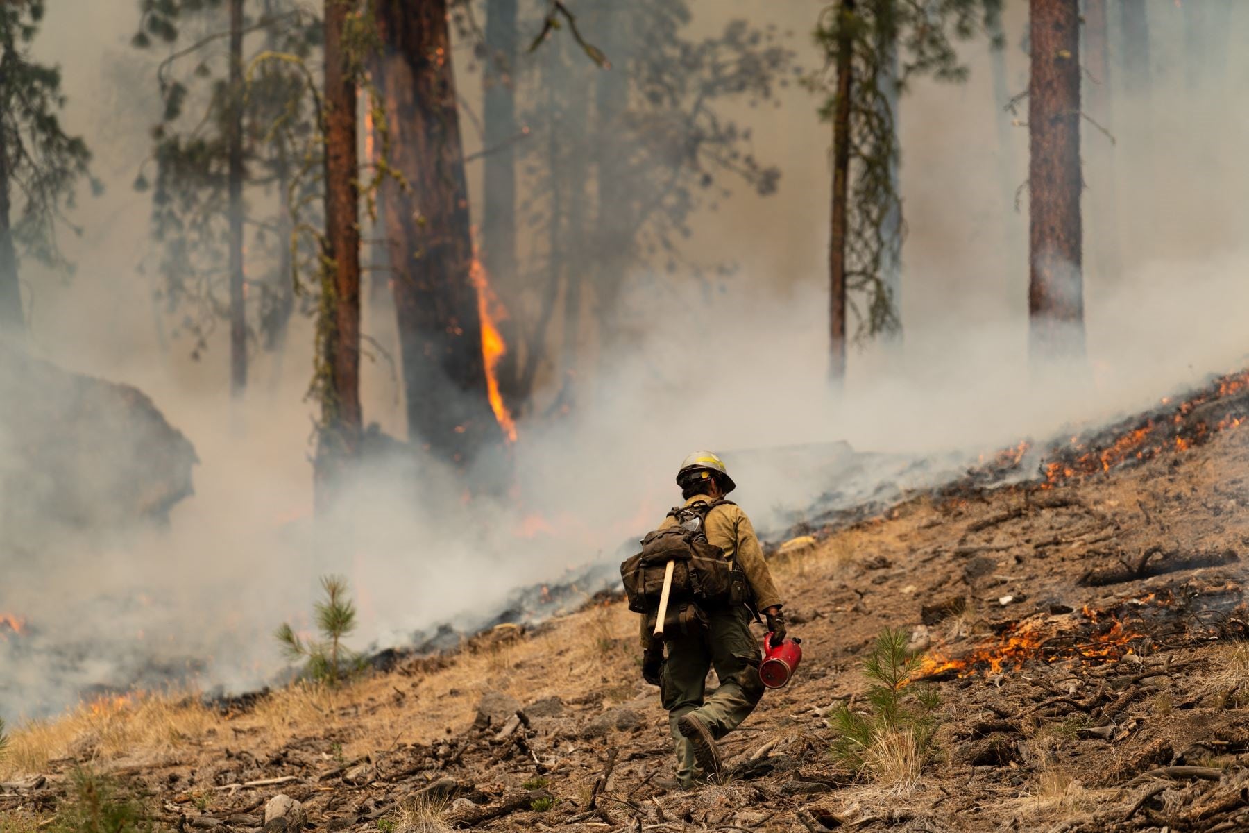 La temperatura media del planeta ha aumentado un 1,2º C desde la era preindustrial, según los estudios de científicos climáticos. (Foto: AFP)