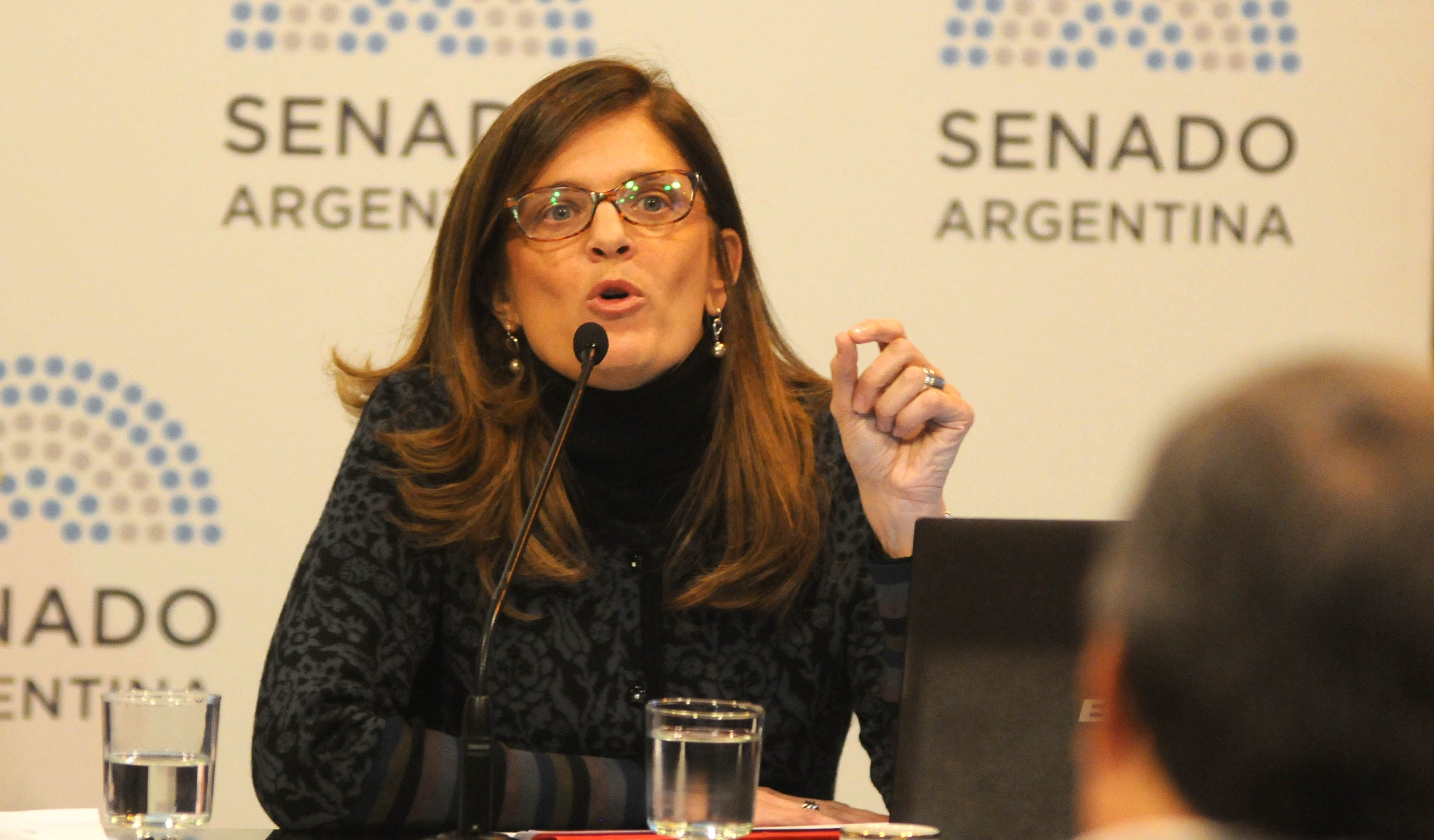 La investigadora del Conicet y profesora de la Universidad Di Tella Paola Bergallo.