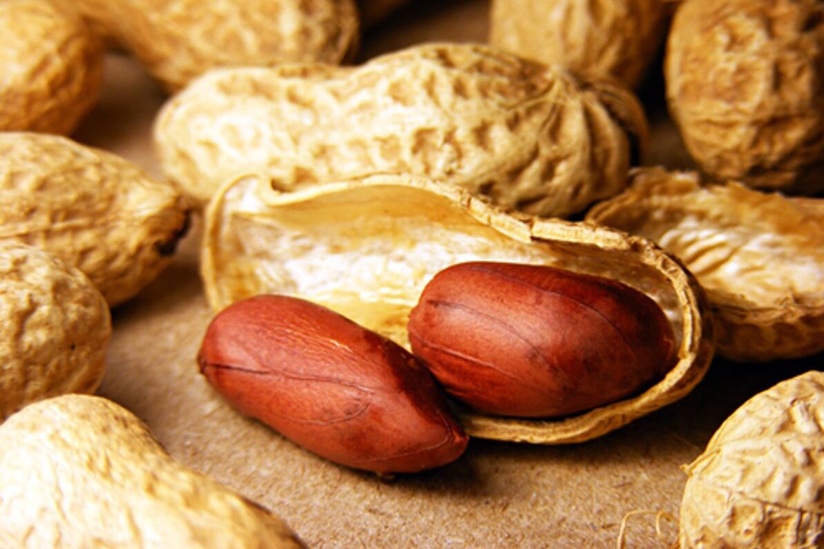 Los productores de maní pagarán unos 20 millones de dólares menos en retenciones.