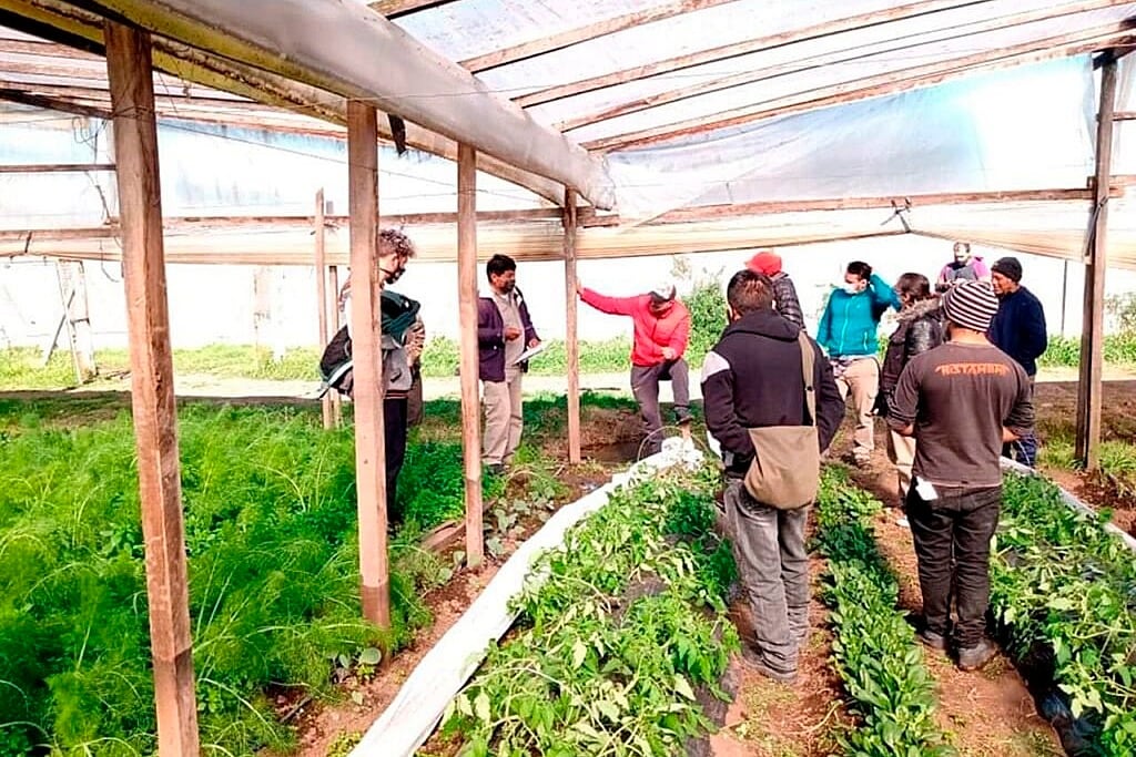 La Mesa Agroalimentaria Argentina se diferencia de la Mesa de Enlace.