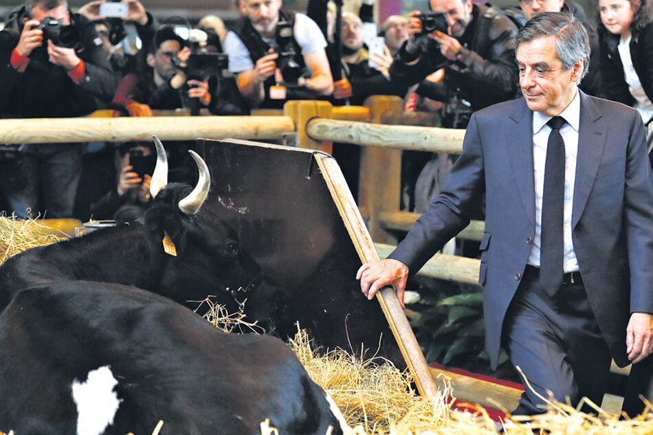 “No cederé, no me rendiré, no me retiraré”, dijo ayer Fillon.