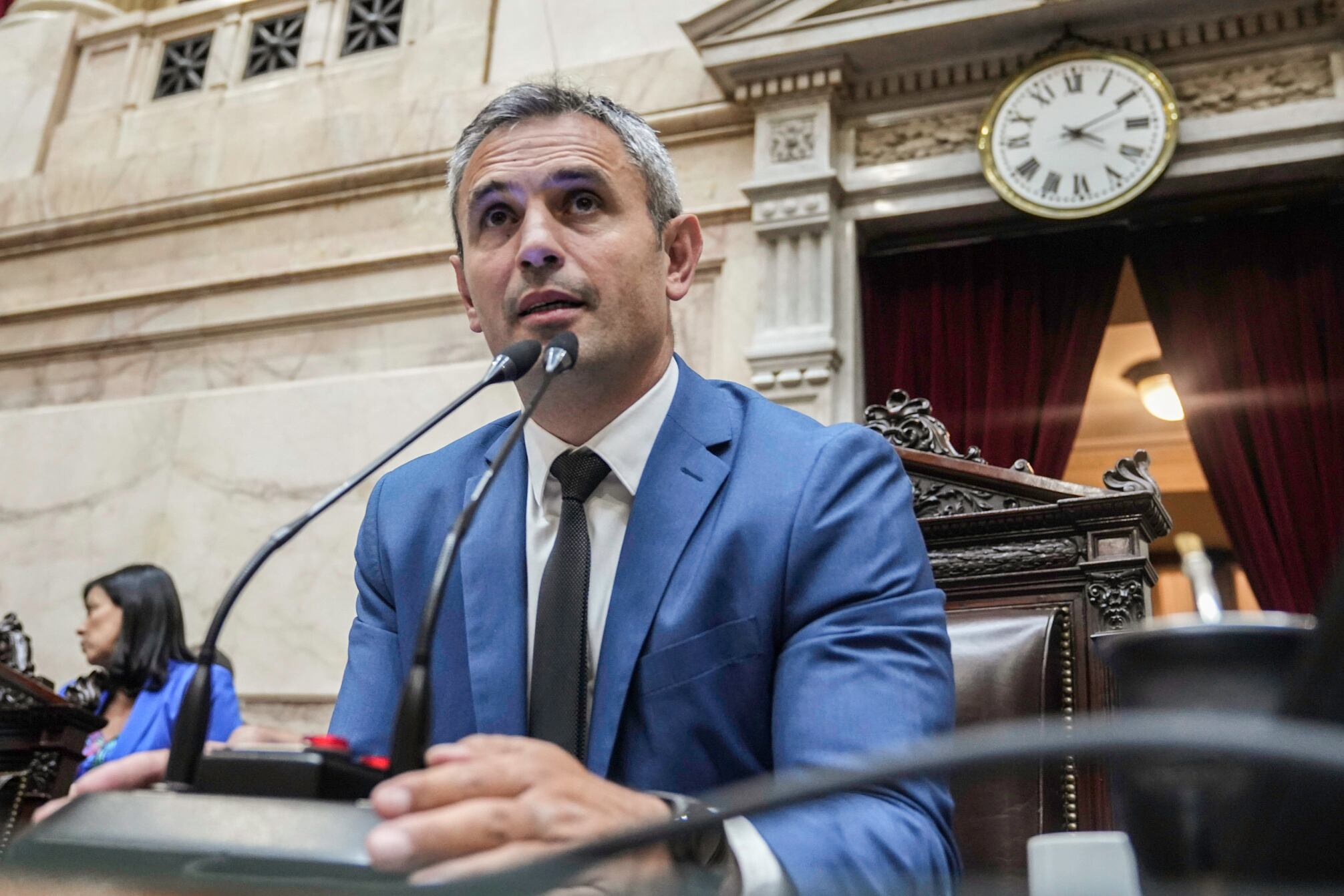 Marcela Pagano aseguró que Martín Menem "quiere ser presidente"