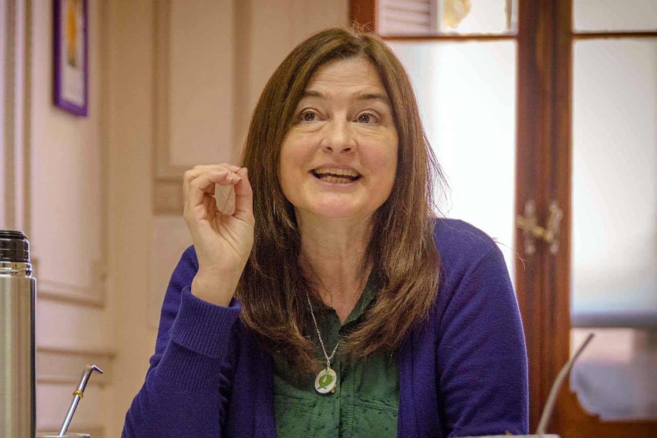 "Hay un interés de acusarnos de censura. Nada más lejos de esa posición", expresó la ministra bonaerense.