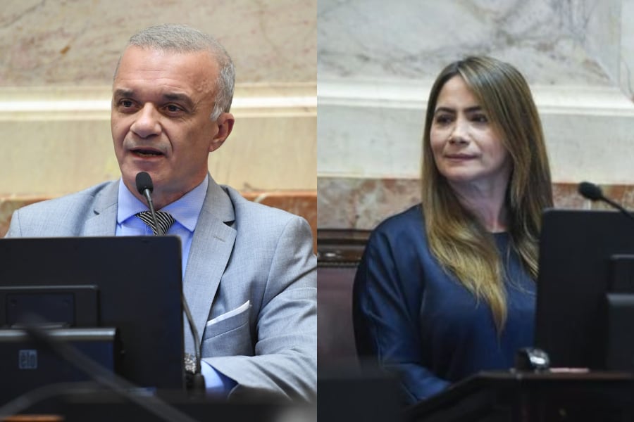 Los senadores Carlos Arce y Sonia Rojas Decut