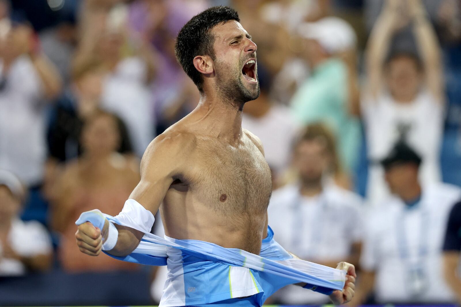 El festejo enloquecido de Djokovic tras vencer a Alcaraz
